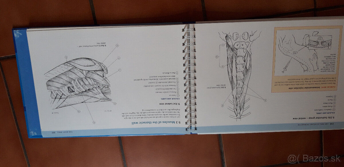 The Dog Anatomy Workbook - 5