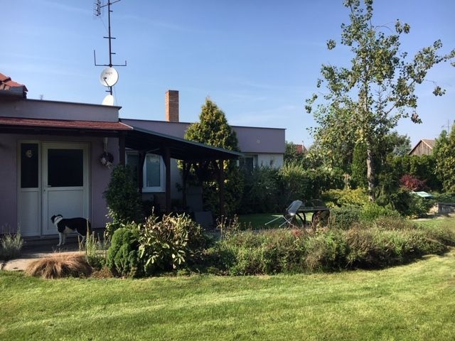 Dom s garážou na peknom rovinatom pozemku. - 5