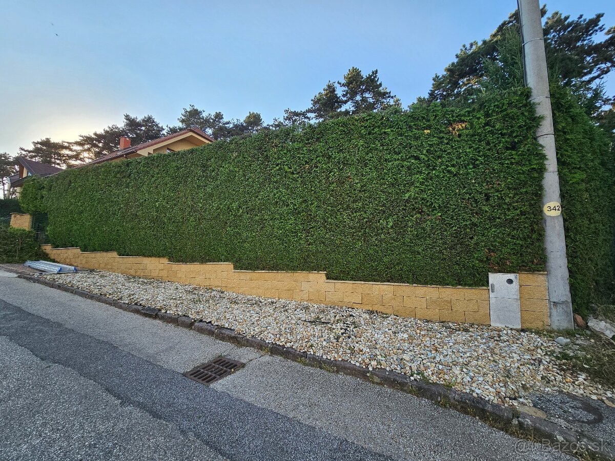 vertikutacia, rotavatorovanie, rylovanie, strihanie - 5