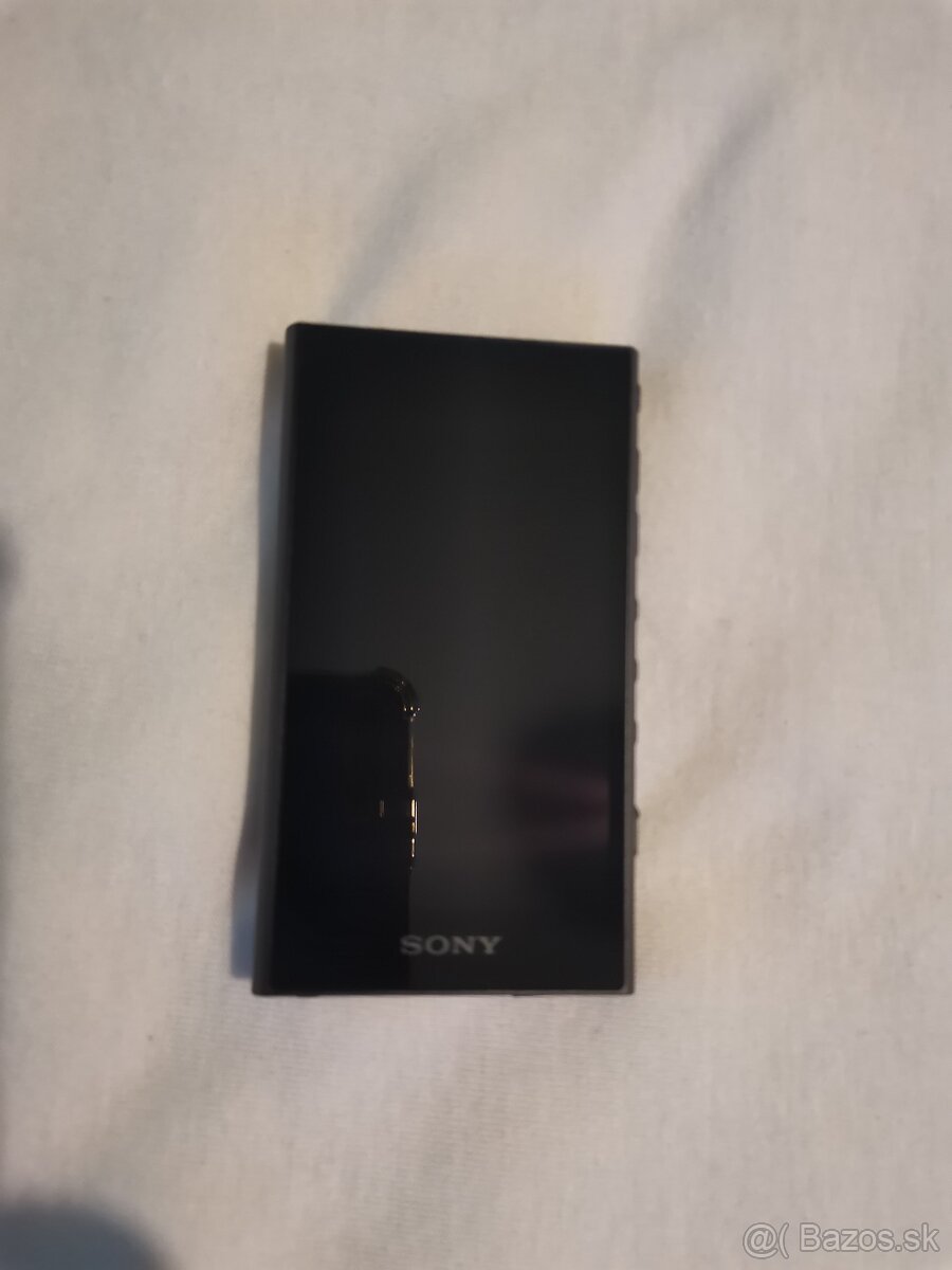Sony NW-A 306 - 5