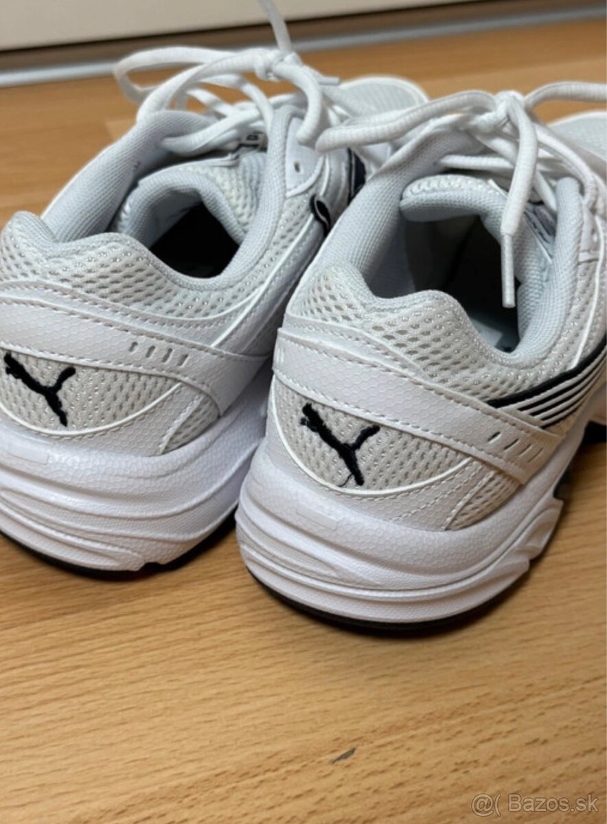 Puma axis - 5
