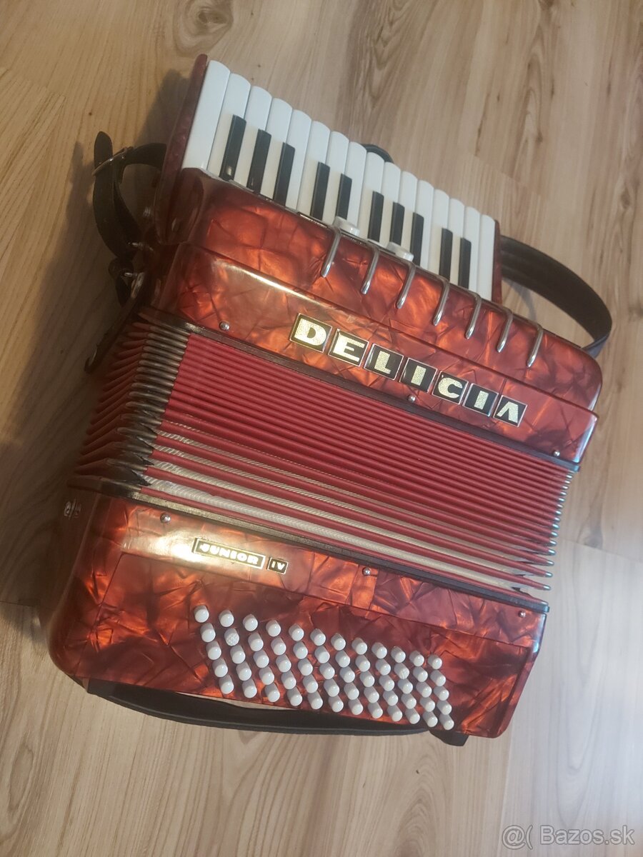 Harmonika Delicia Junior 4 - 5