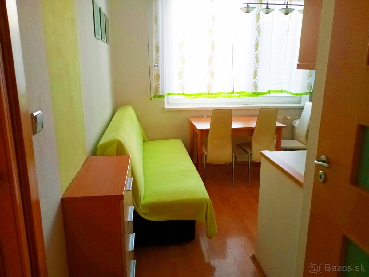 Prenajmem 1-izbový byt. - 5