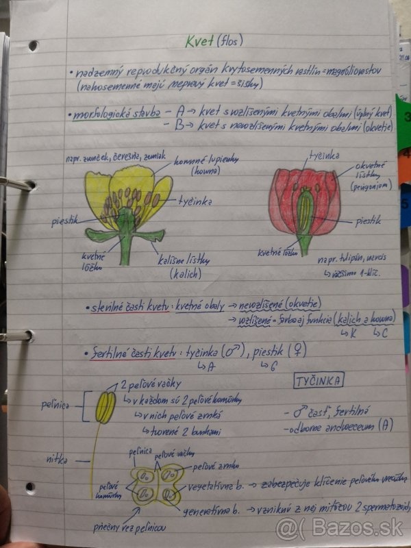 Biológia SŠ poznámky - 5