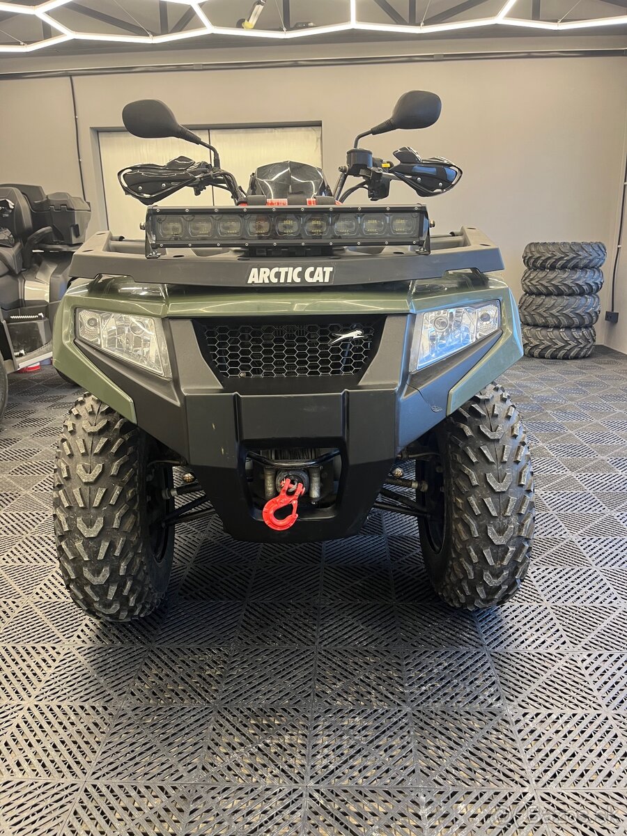 Arctic cat - 5