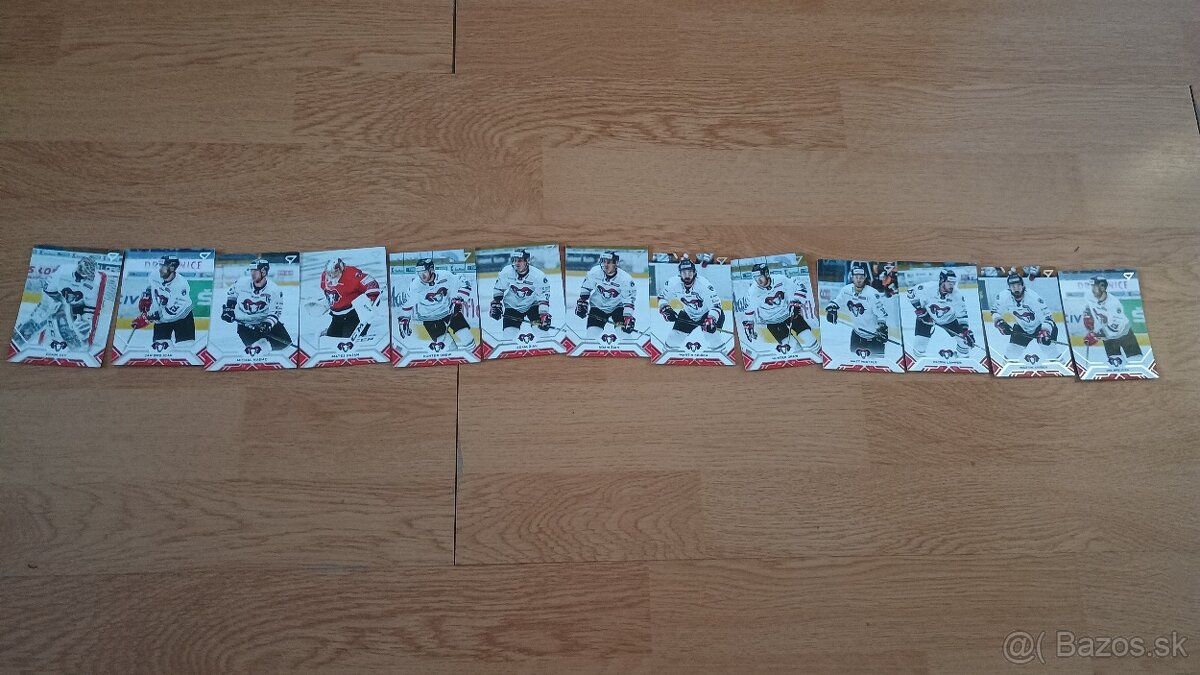 Hokejové kartičky Tipos extraliga 2020/21 - 5