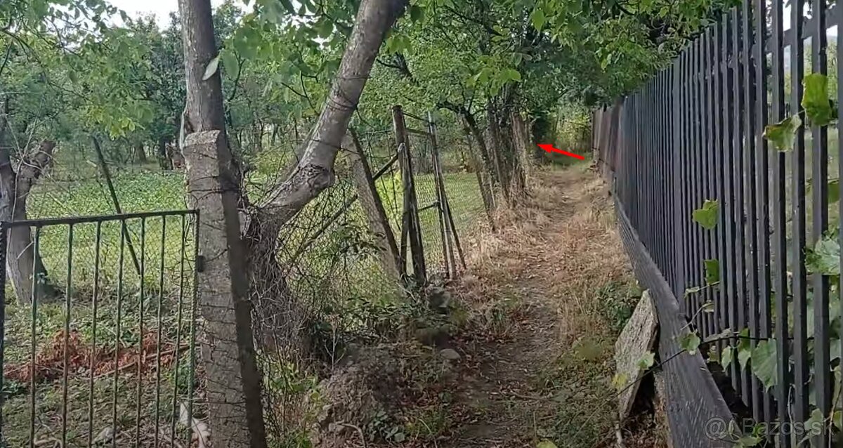 Záhrada na Zemplínskej Šírave - 5