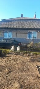 SUPER PONUKA Rodinný dom - 5