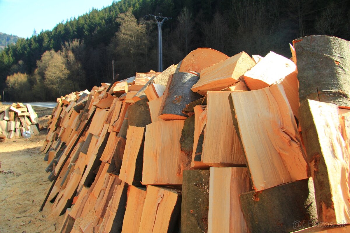 PALIVOVE DREVO BUK - 5