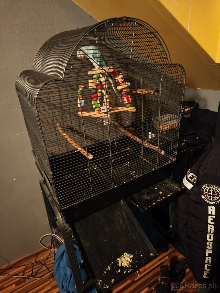 Alexander malý aj s veľkou klietkou - 5