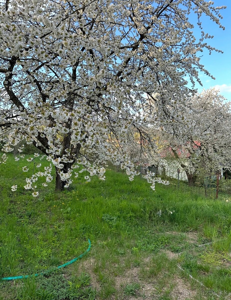 Záhrada s murovanou chatkou - 5