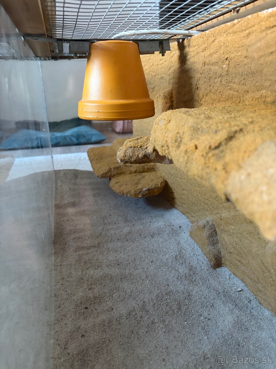 Terarium / akvarium - 5