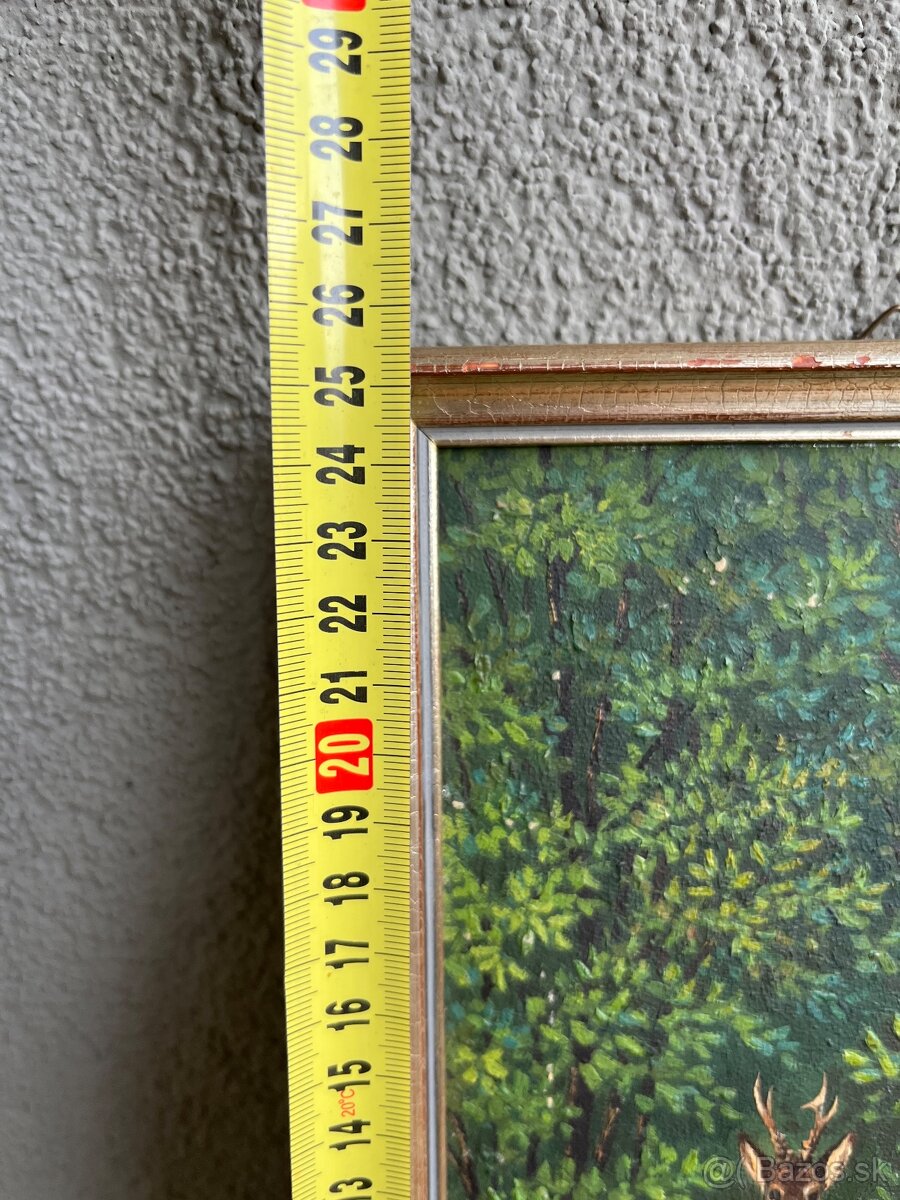 Obraz Jeleň v lese - 5