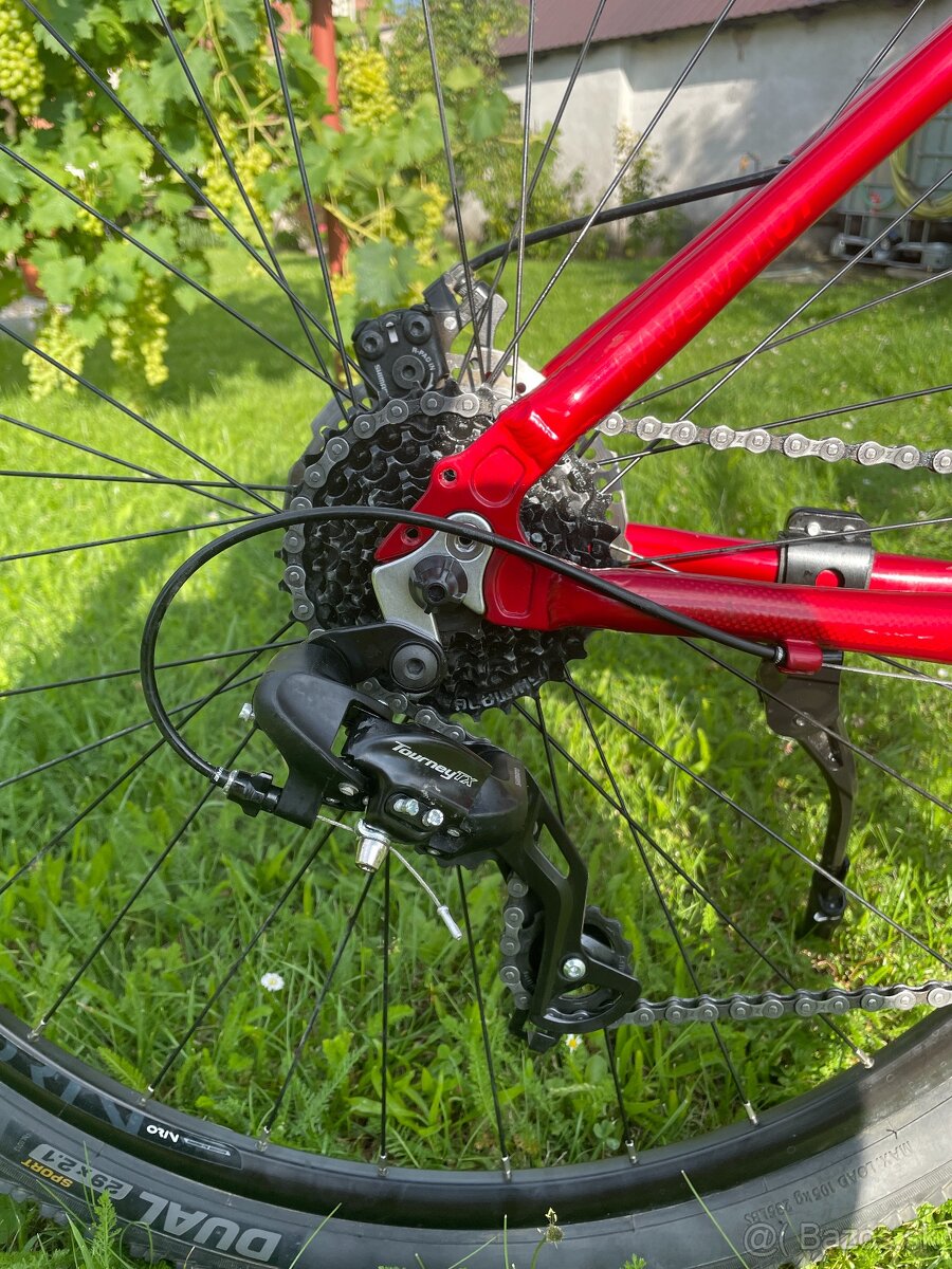 Bicykel Dema Ravena 1.0 červený - 5