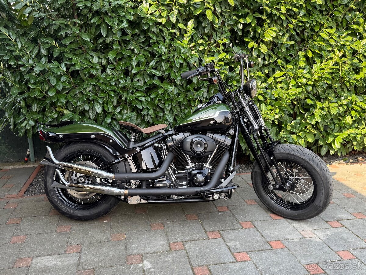Harley Davidson Softail Cross Bones - 5