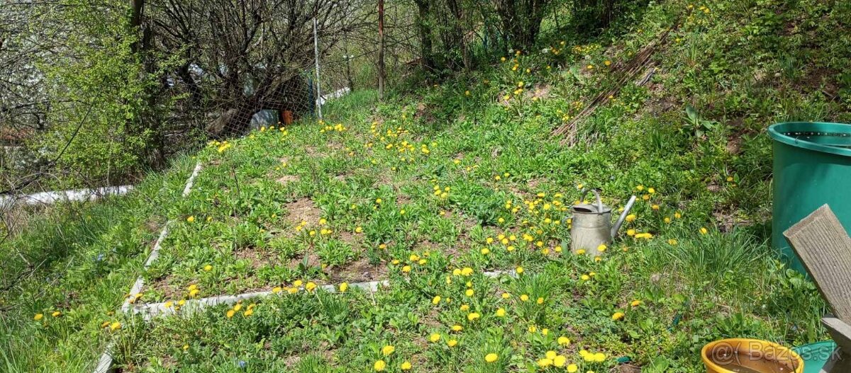 Záhrada Ťahanovce - 5