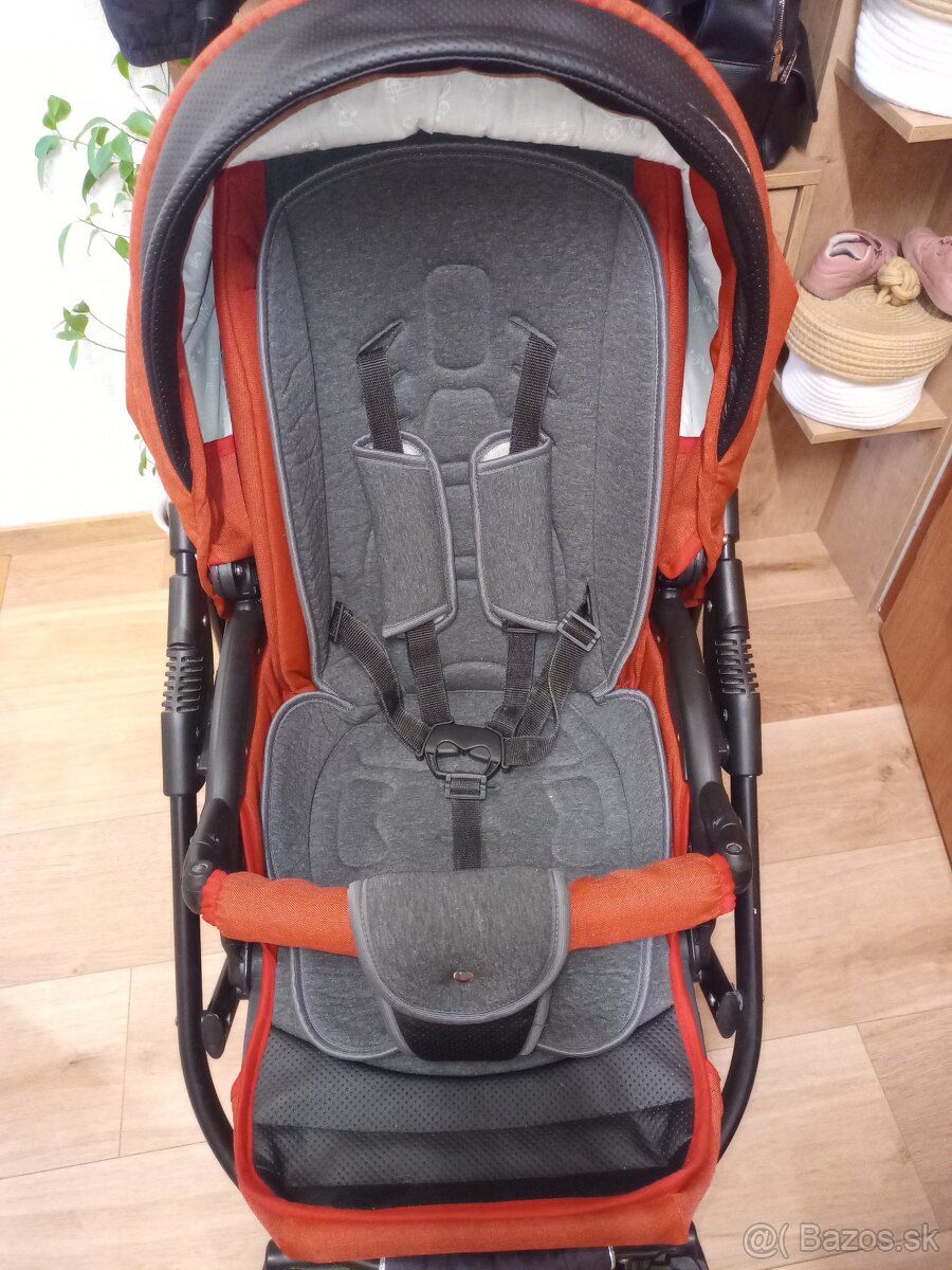 Camarelo Kombinovaný SEEBA ART - 5