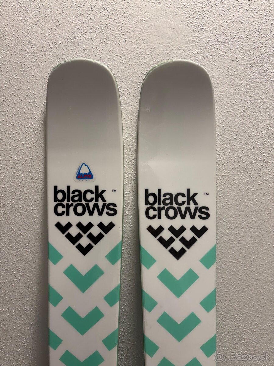 Black Crows Atris 184 cm + viazanie Fritschi Tecton + pásy - 5