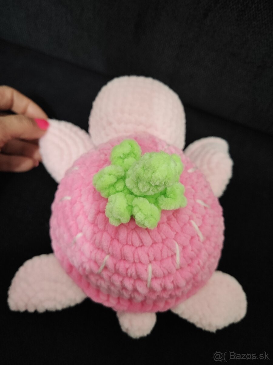 Háčkovaná korytnačka - 5