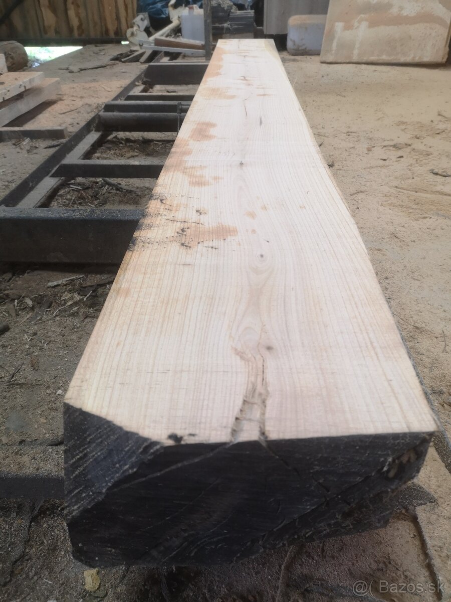 Kmeňova pásová pila 600mm - 5