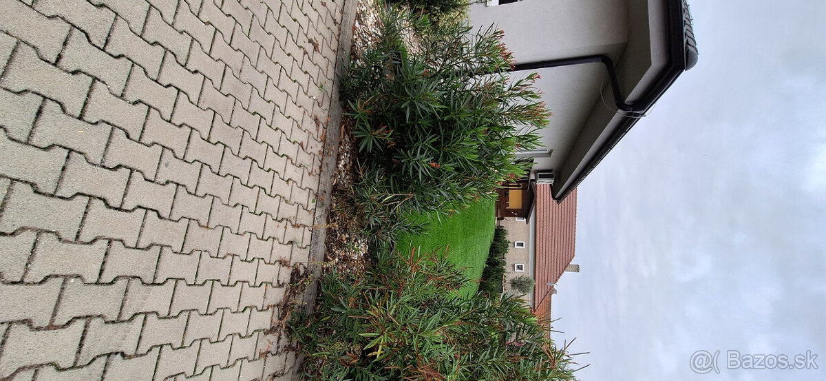 Novostavba Dvory nad Žitavou - 5