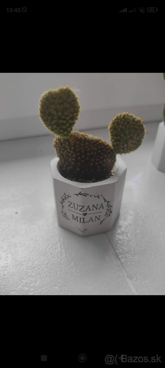 Silikónové formy - 5