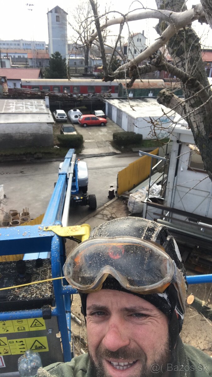 Pílenie stromov, arboristika, drtenie konárov - 5