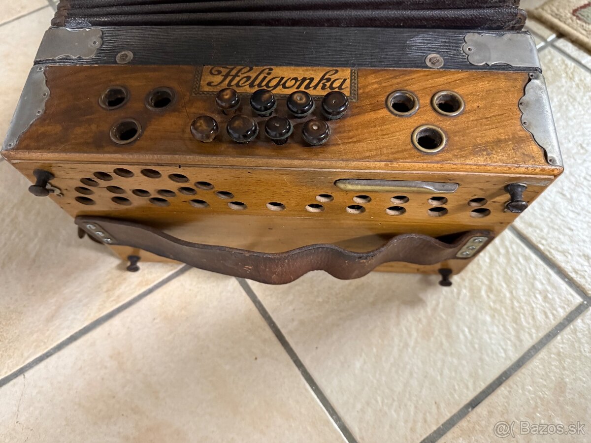 Heligonka Hlaváček CF - 5