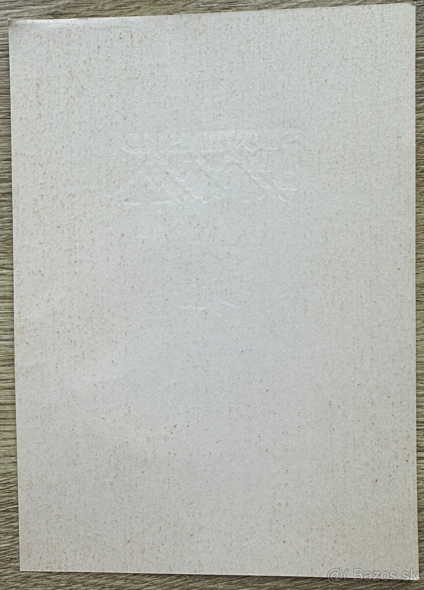 Známky Slovenský štát a Slovensko c.13 za 10€ - 5