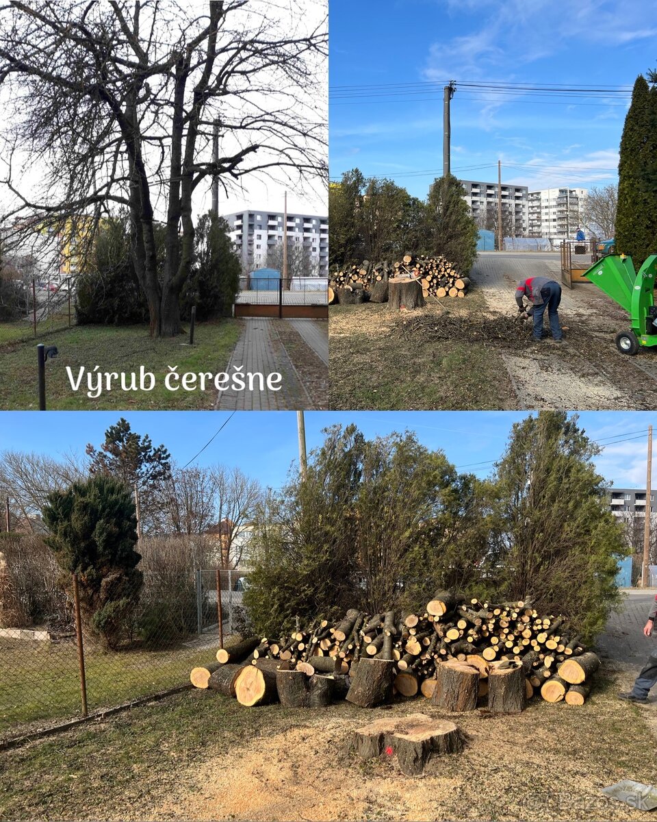 Výrub stromov a rizikové pílenie stromov - 5