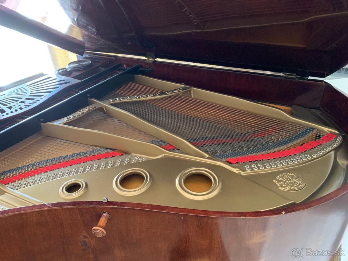 Krídlo Koch & Korselh - 5