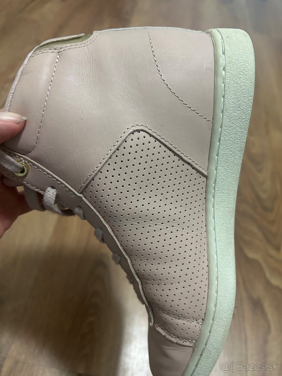 Topánky Lacoste 36 - 5