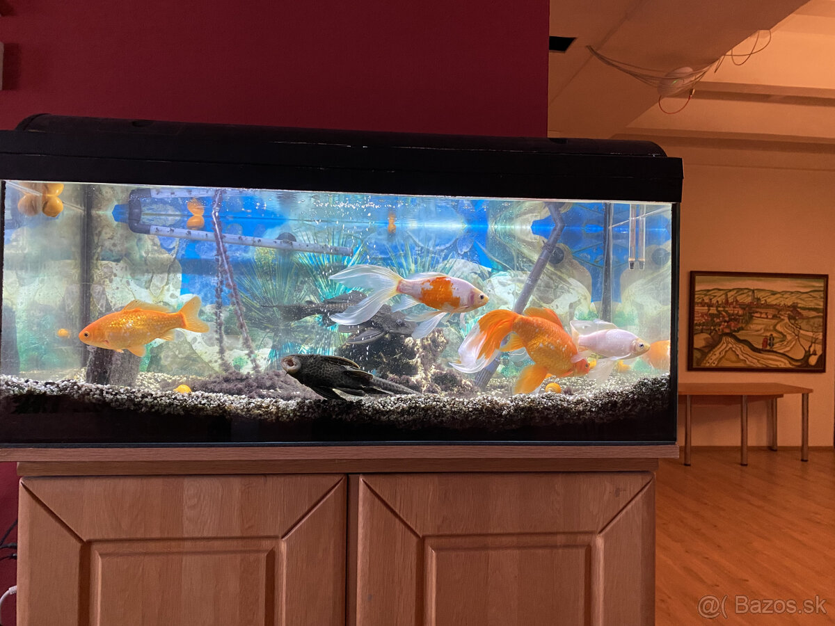 Kancelárske priestory : 73,5 m2, v širšom centre mesta - 5