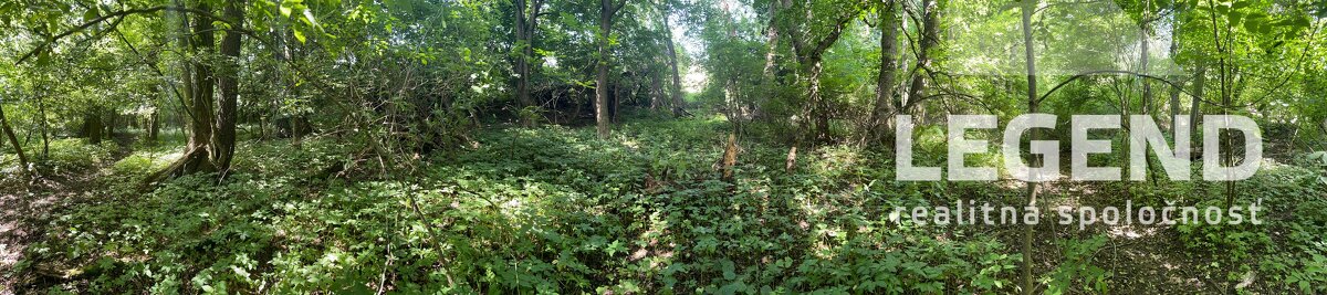 Krásny rekreačný pozemok v Podolí-Kopanice,943m2,elektrina - 5