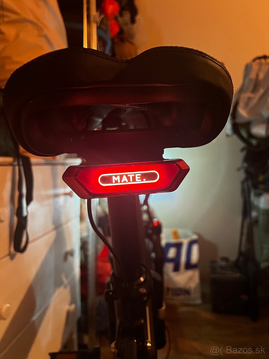 MATE BIKE X 750w - 5