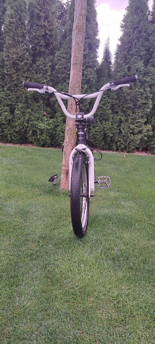 BMX Author Buzz - 5