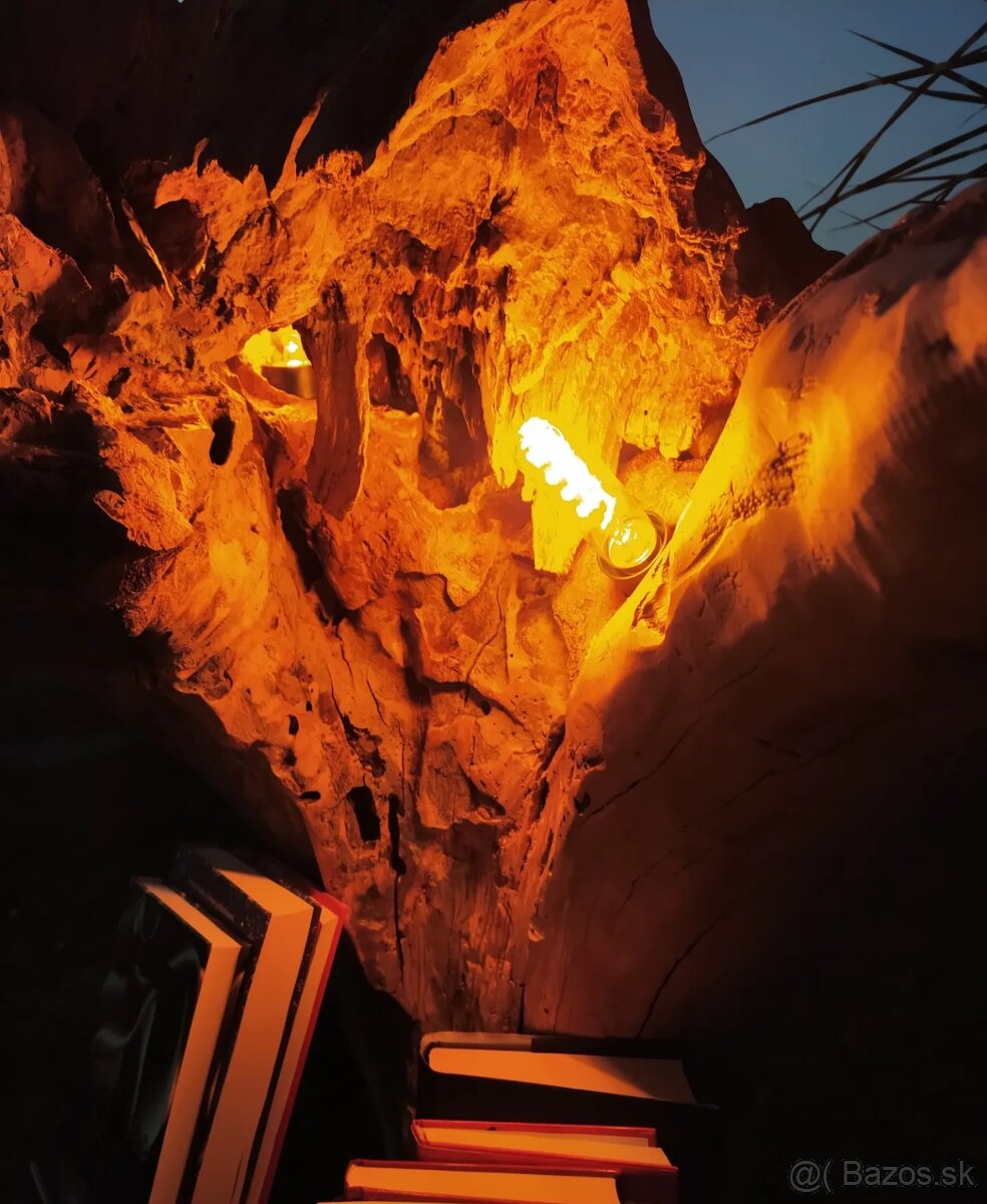 Sveťelní koreň - 5