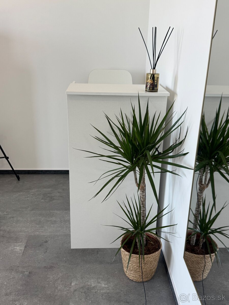 na predaj recepčný pult - 5