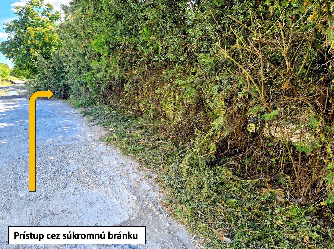 550 m2 POZEMOK na výstavbu chaty v širšom centre Nitry - 5