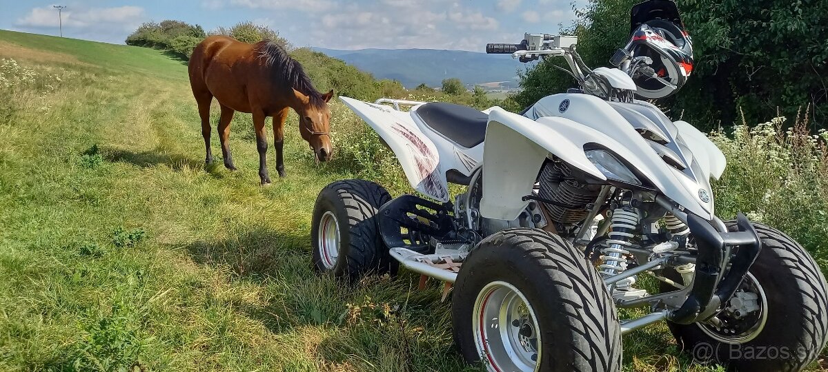 Yamaha Raptor 350 s ŠPZ - 5