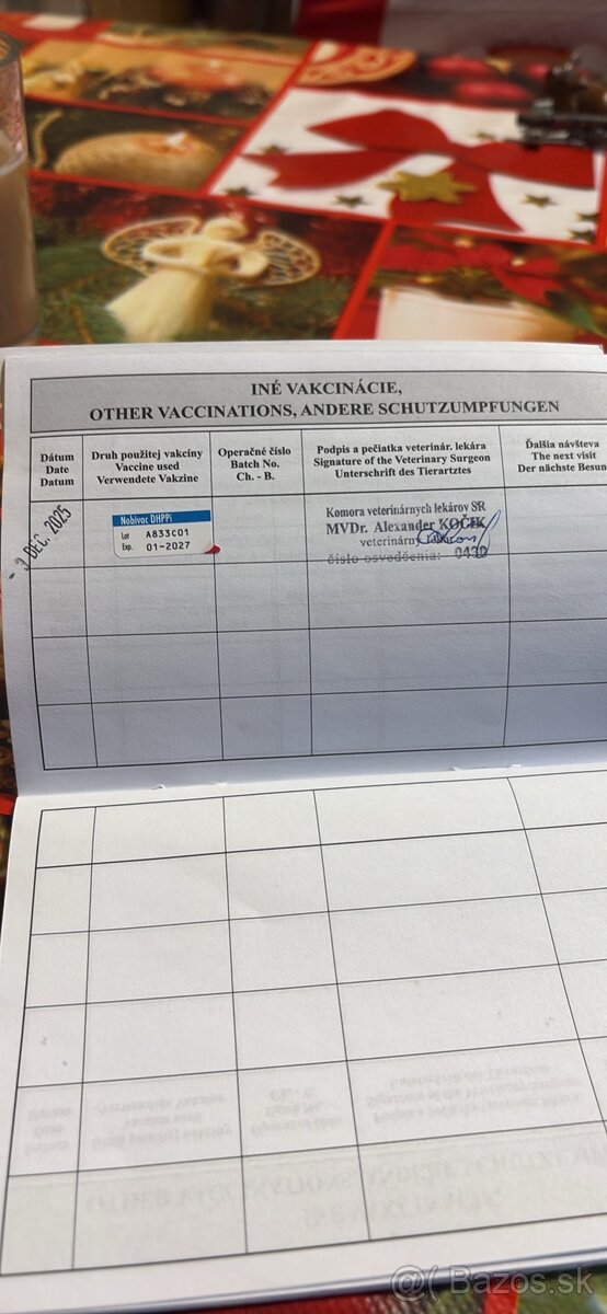 Predam šteniatko Akita inu - 5