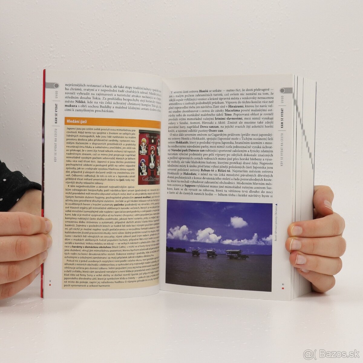 Japonsko - český turistický sprievodca Rough Guides - 5