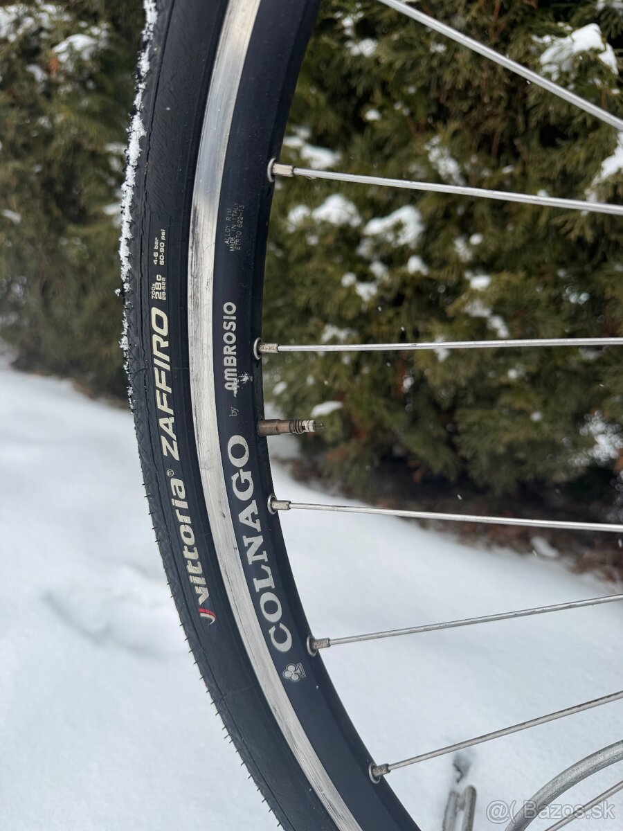 Colnago Tecnos Art Decor - 5