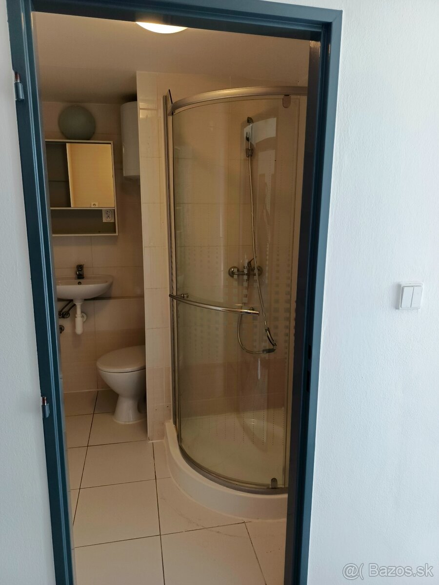Prenájom 1IZB-BYTU VLKANOVÁ 500€ - 5
