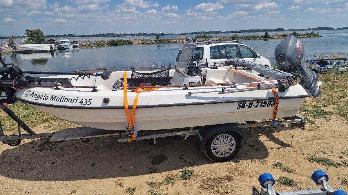 Cln MOLINARI 435 - 5