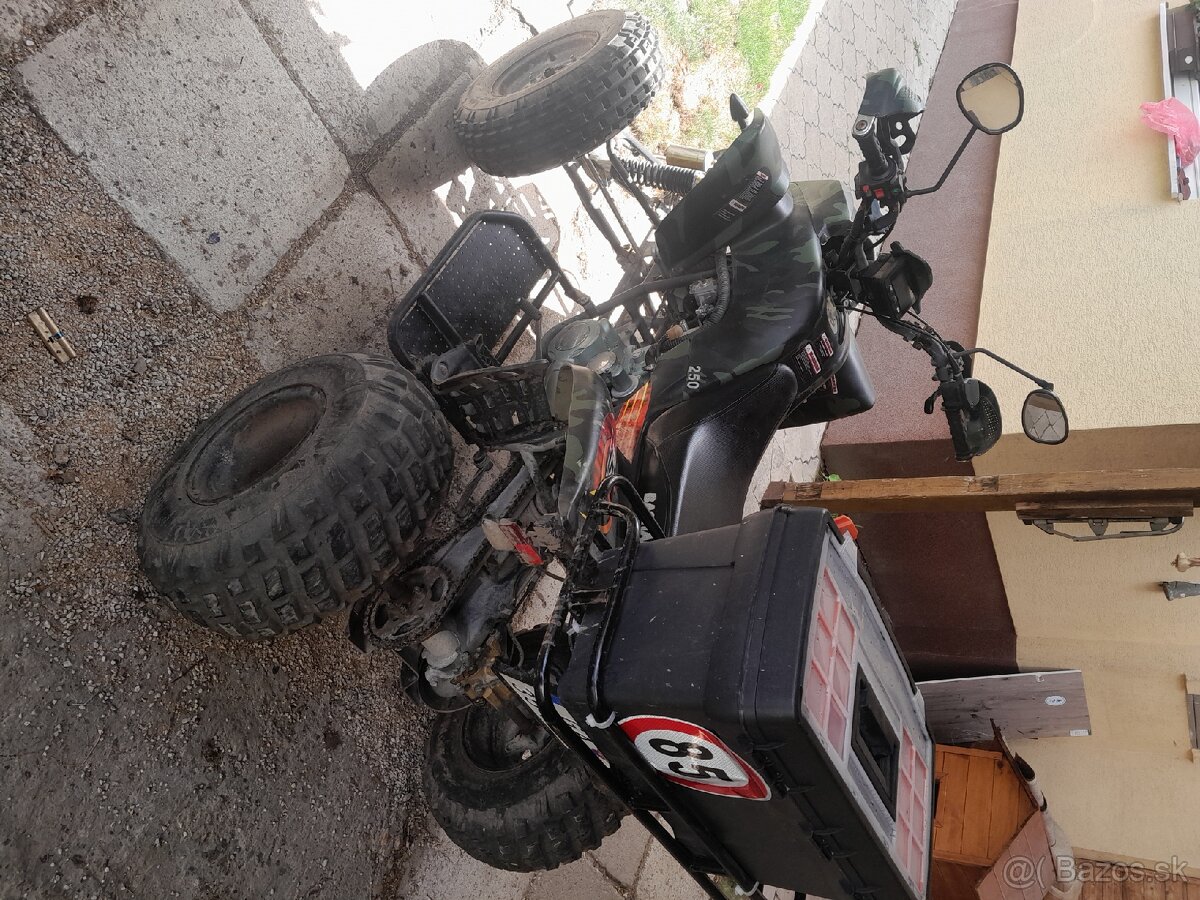 Štvorkolka Bashan BS250S - 11B