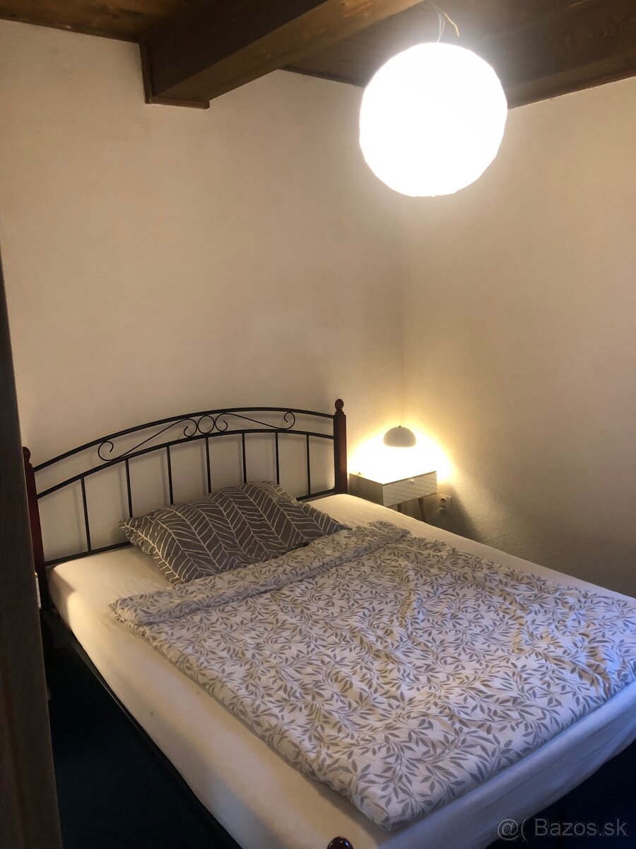 Krátkodobý prenájom aj s domácim miláčikom - 5