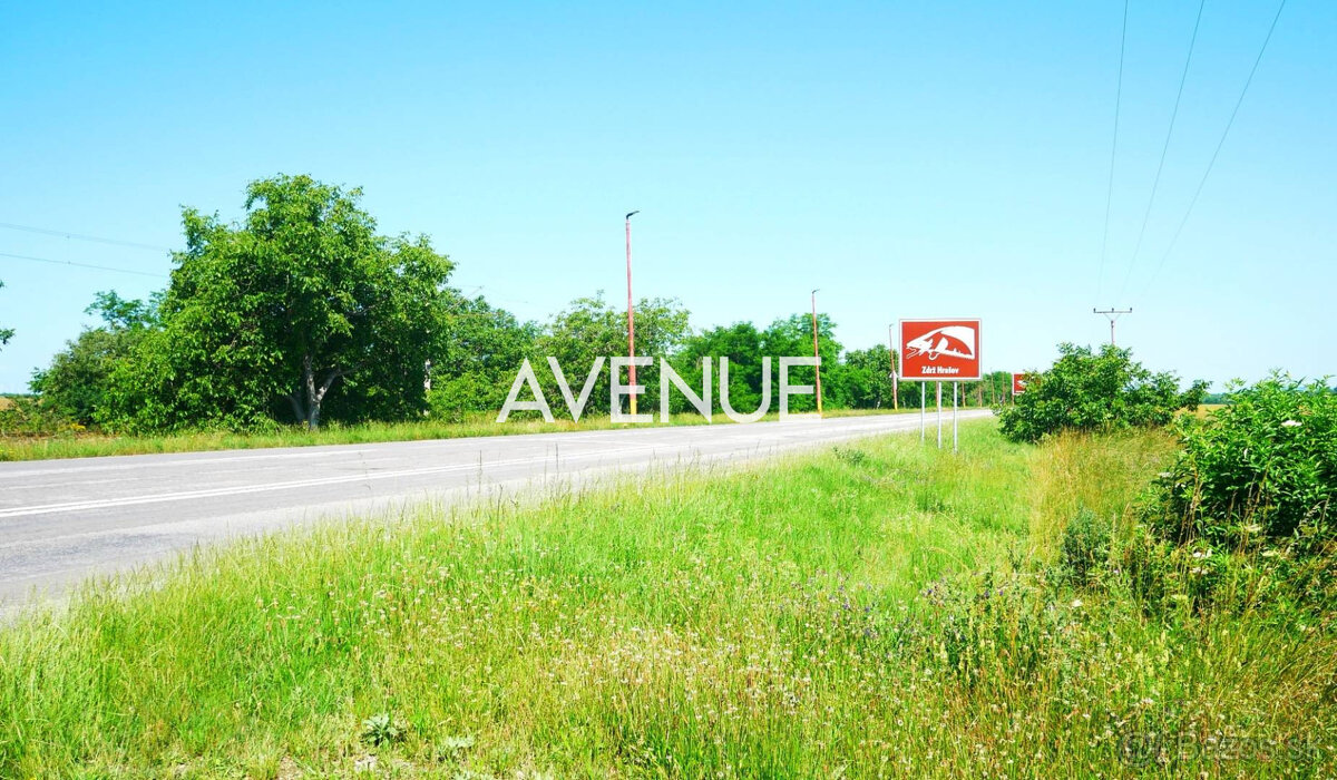 AVENUE | rovinatý pozemok v katastri mestskej časti Čuňovo. - 5