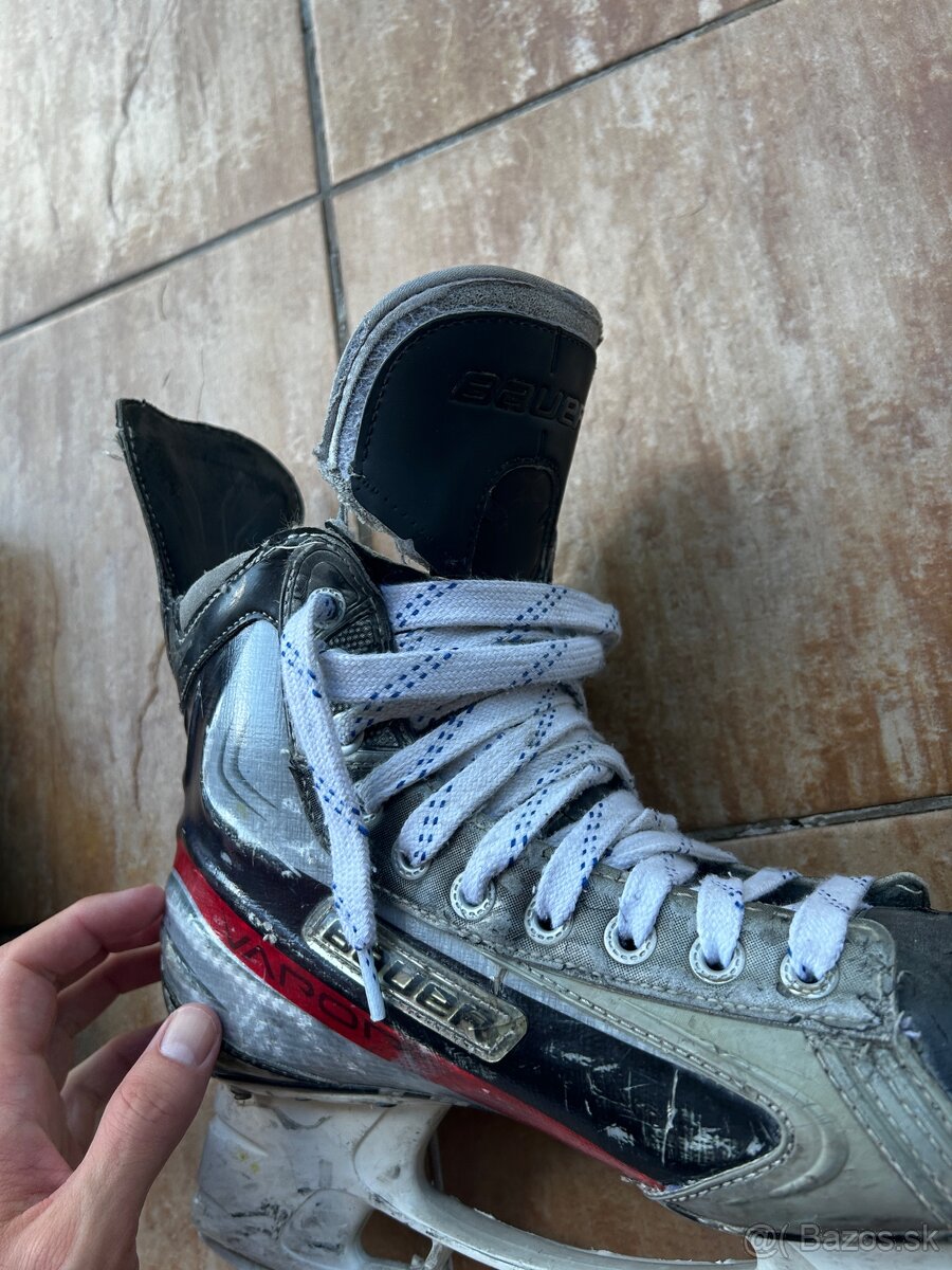Používané korčule Bauer Velkost 44,5 - 5