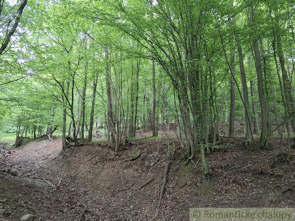 NOVÁ CENA Rozsiahle lesné pozemky v Podpoľaní - 5
